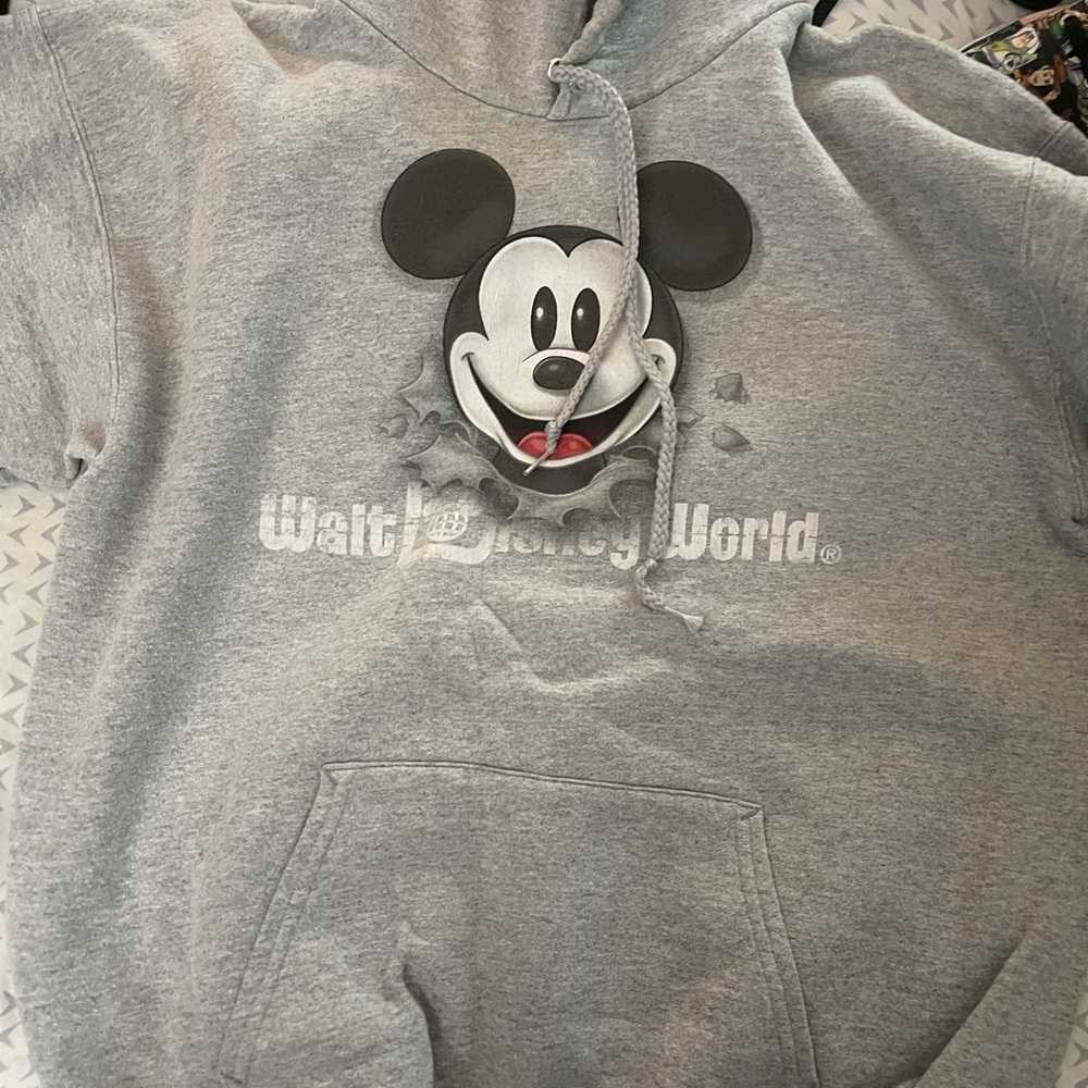 Shop Disney Parks sweatshirt